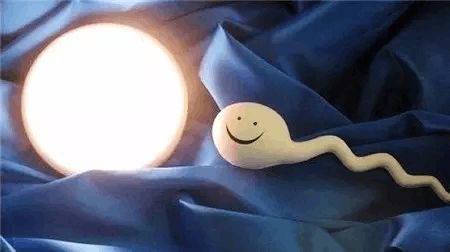 胚胎实验室